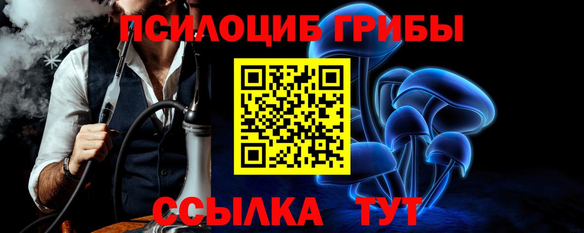Арсеньев  Псилоцибиновые грибы MAGIC MUSHROOMS  Вход с VPN 