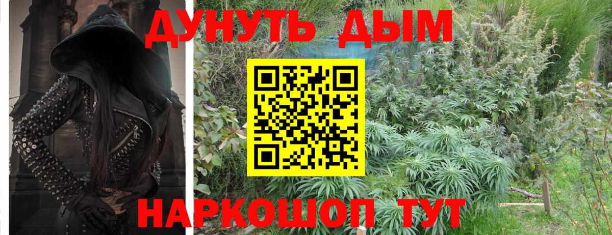 Шишки марихуана конопля Арсеньев